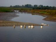 Малеве з panoramio.com