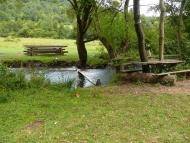 Локіть - Останні фото