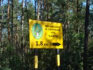 Мирча з panoramio.com