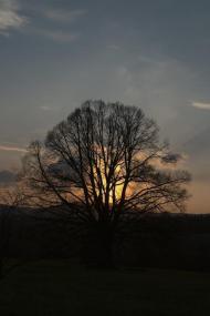 Біньова з panoramio.com