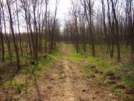 Соловка з panoramio.com