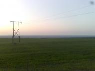 Степанівка з panoramio.com