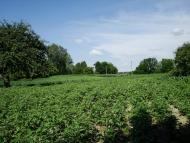 Слабин з panoramio.com