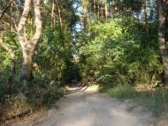 Ізбицьке з panoramio.com