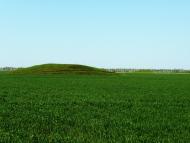 Колонтаев - Последние фото