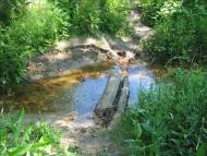 Підлісне з panoramio.com