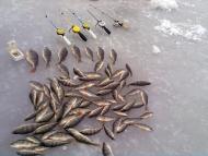 Rybynske - Latest photos