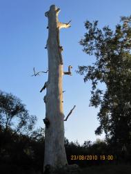 Богуслав з panoramio.com