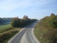 Лісоводи з panoramio.com