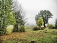 Пеньківка з panoramio.com