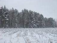 Городище з panoramio.com
