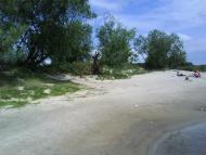 Лісконоги з panoramio.com