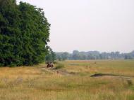 Слабин з panoramio.com