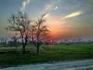 Мирони з panoramio.com