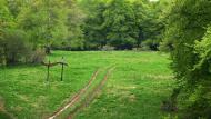 Многоріччя з panoramio.com