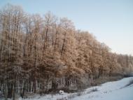 Верхоли з panoramio.com