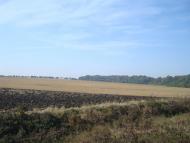 Лісоводи з panoramio.com