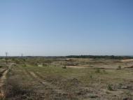 Піщане з panoramio.com