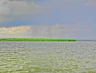 Ясинуватка з panoramio.com