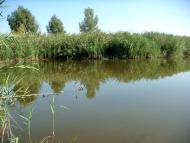 Окнине з panoramio.com