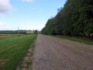 Довжик - Останні фото