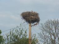 Катеринівка з panoramio.com