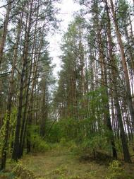 Слабин з panoramio.com