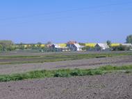 Почино-Софіївка з panoramio.com