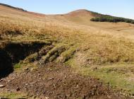 Буковець - Останні фото