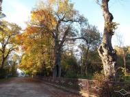 Старий Олексинець з panoramio.com