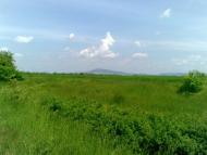 Чома з panoramio.com