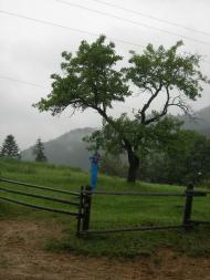 Черетів з panoramio.com