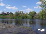 Ціпки з panoramio.com