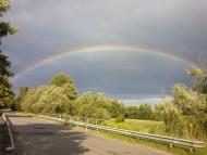 Максимовичі