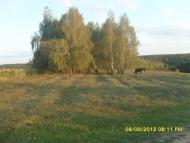 Джуринці з panoramio.com