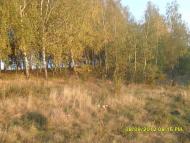 Джуринці з panoramio.com