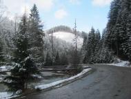 весняна  Н.Рожанка