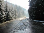 весняна  Н.Рожанка