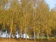 Джуринці з panoramio.com