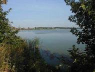 Мальовничі куточки рідного міста.