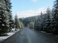 весняна  Н.Рожанка