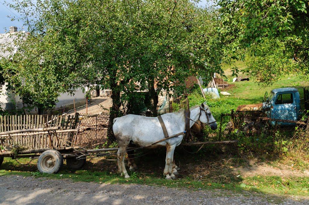 Костринська Розтока з panoramio.com - Костринська Розтока