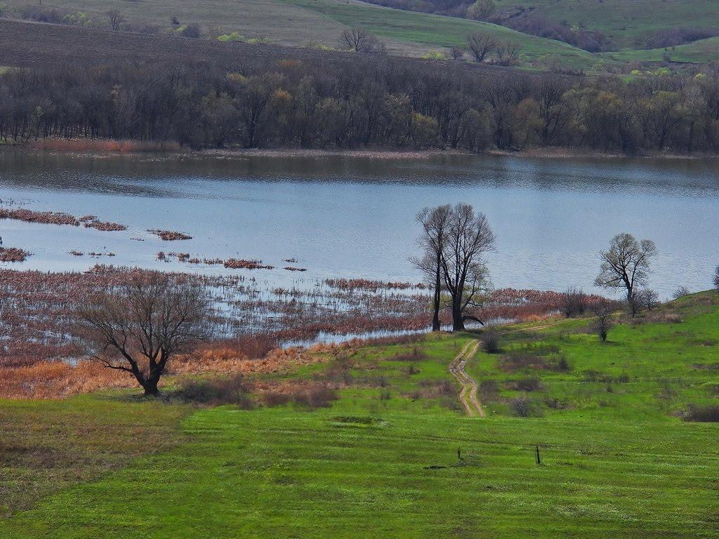 Олександрівське з panoramio.com - Олександрівське