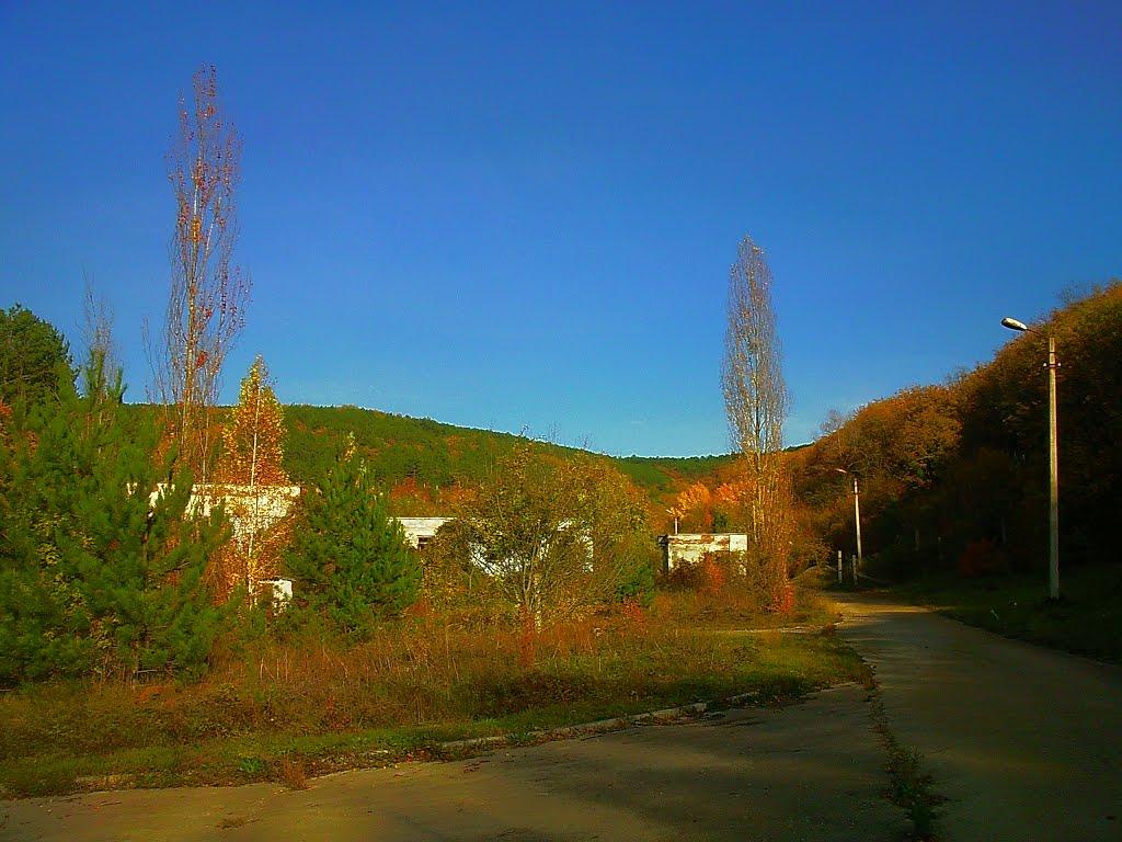 Голубинка з panoramio.com - Голубинка