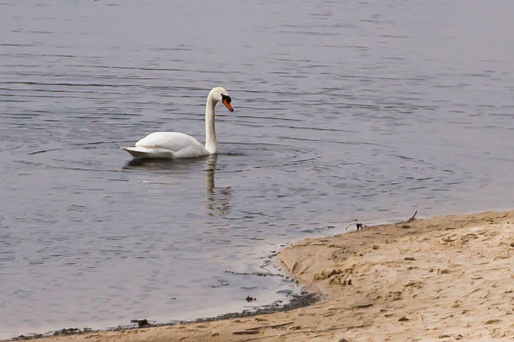 Грушівка з panoramio.com - Grushivka