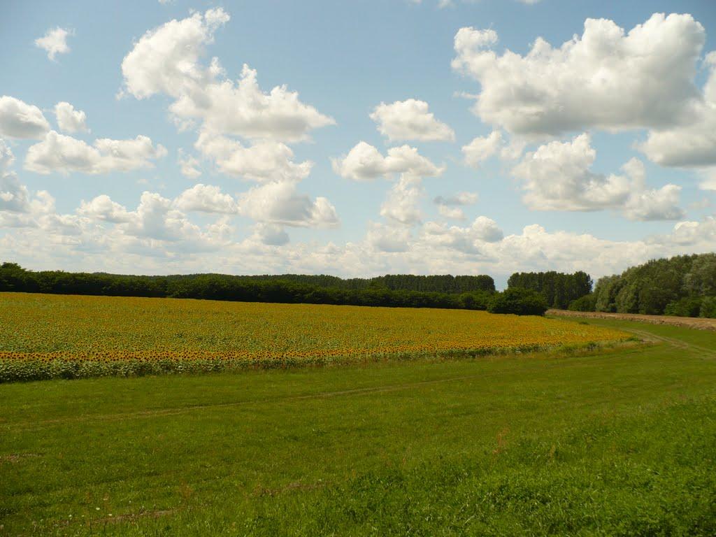 Чоп з panoramio.com - Чоп