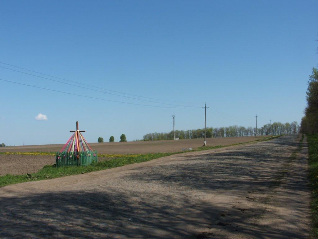 Катеринівка з panoramio.com - Катеринівка