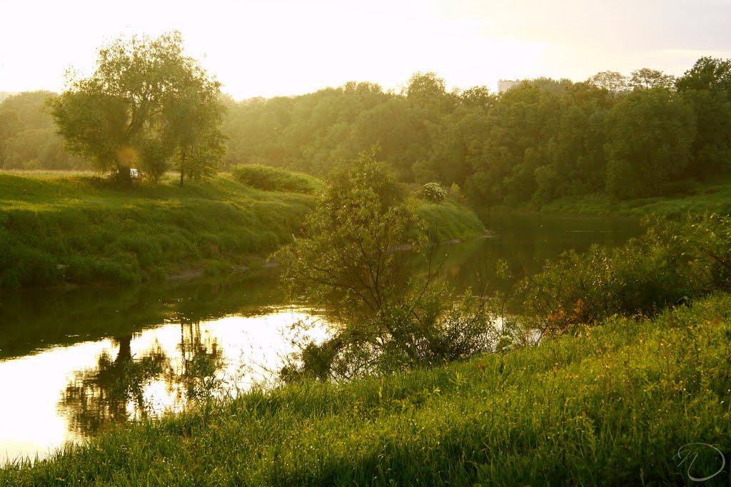 Циків з panoramio.com - Цыков
