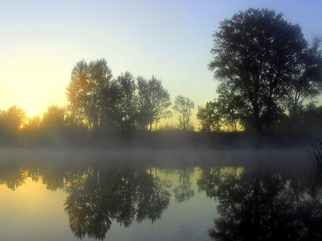 Довге з panoramio.com - Довге