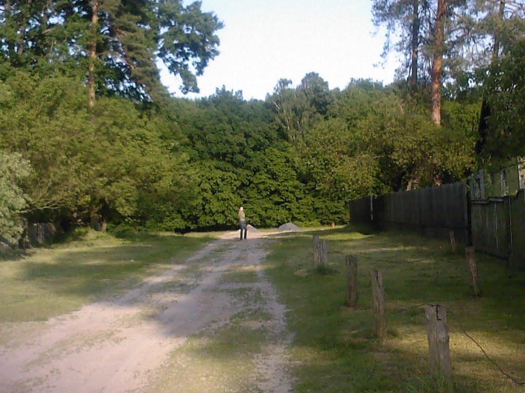 Дзюбівка з panoramio.com - Дзюбовка